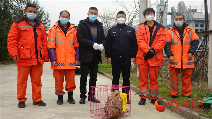 【隴南】國家二級保護動物雕鸮受傷 隴南公路職工暖心救助_fororder_2