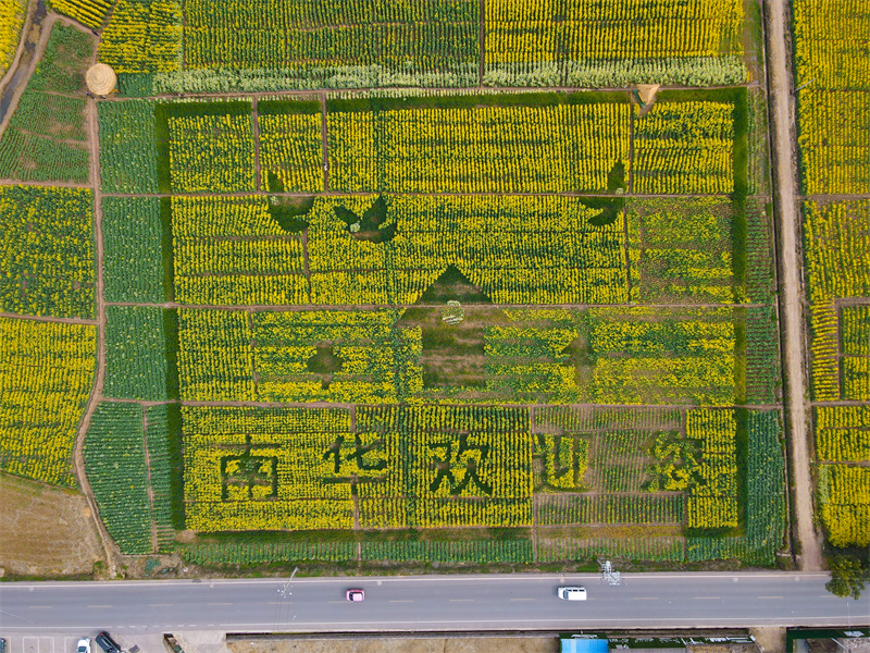 楚雄南華：“雲上花海·魅力南華”2023年龍川油菜花節即將開幕_fororder_3