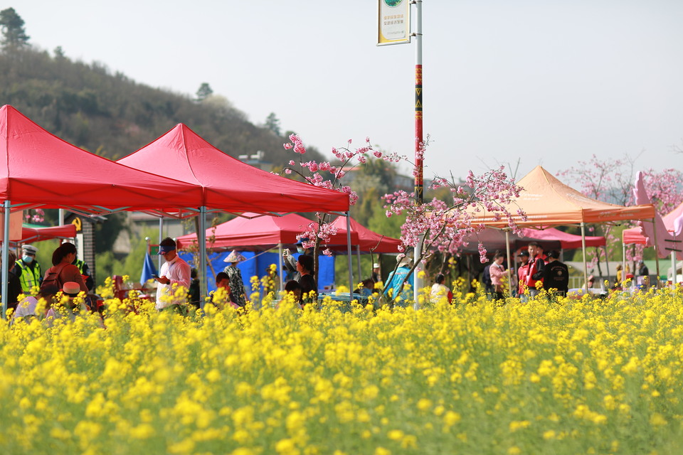 跑進春天跑進田園 昆明安寧青龍街道500名選手鳴槍起跑