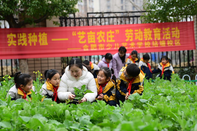 合肥瑤海：奮力答好教育高品質發展答卷_fororder_圖片2