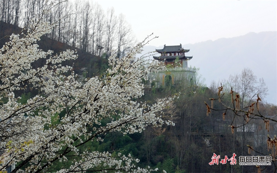 【輪播圖】花紅柳綠又一春 隴南康縣山鄉畫意濃_fororder_1