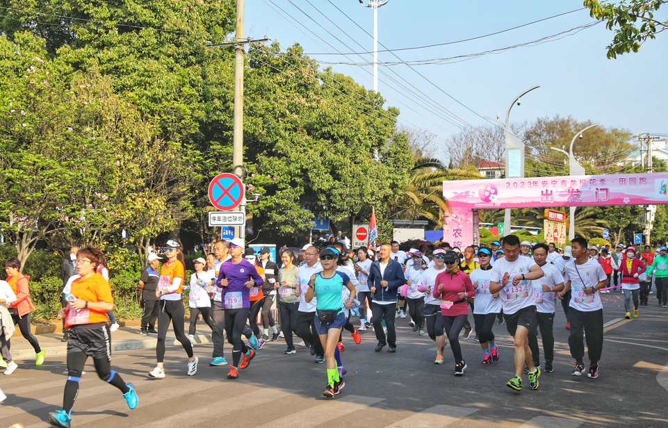 跑進春天跑進田園 昆明安寧青龍街道500名選手鳴槍起跑