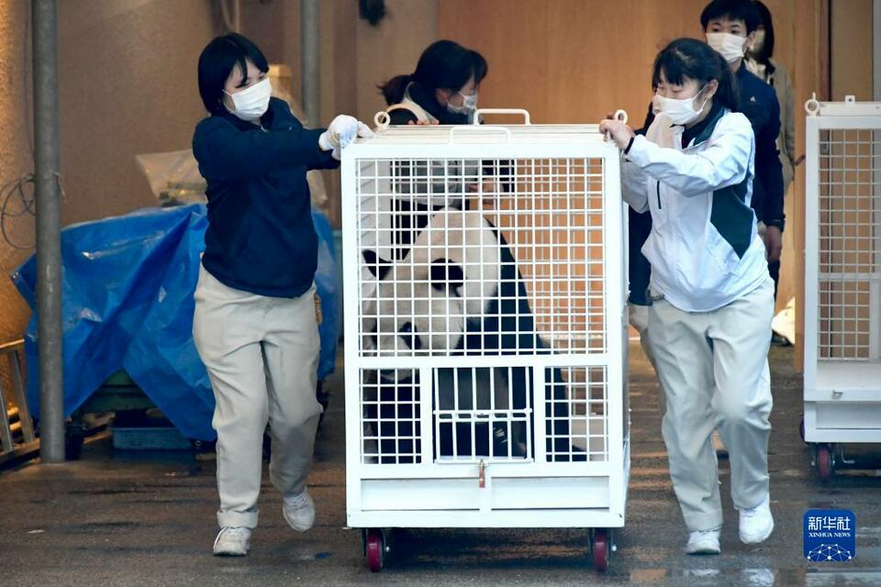 Japanese Panda Fans Bid Farewell to Giant Pandas Yong Ming, Ying Bang and Tao Bang_fororder_圖片8