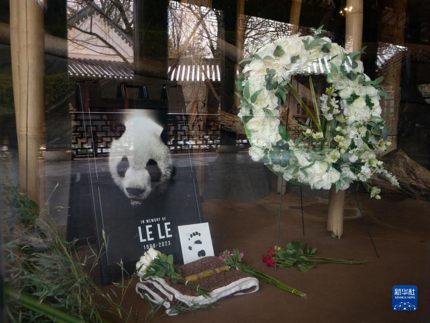 旅美大熊貓“樂樂”去世 Giant Panda “Le Le” Dies at Memphis Zoo   2月4日，美國田納西州孟菲斯動物園擺放的紀念大熊貓“樂樂”的照片和鮮花。 攝影 亞當 Photos of Le Le and flowers are displayed at the Memphis Zoo in Memphis, Tennessee, the United States on February 4. [Photo by Adam]  2月4日，在美國田納西州孟菲斯動物園，市民在大熊貓“樂樂”的照片前悼念。 攝影 亞當 People mourn in front of a picture of giant panda Le Le at the Memphis Zoo in Memphis, Tennessee, the United States on February 4. [Photo by Adam]   2月4日，在美國田納西州孟菲斯動物園，市民在大熊貓“樂樂”的照片前悼念。攝影 亞當 People mourn in front of a picture of giant panda Le Le at the Memphis Zoo in Memphis, Tennessee, the United States on February 4. [Photo by Adam]    2月4日，在美國田納西州孟菲斯動物園，市民在大熊貓“樂樂”的照片前悼念。攝影 亞當 People mourn in front of a picture of giant panda Le Le at the Memphis Zoo in Memphis, Tennessee, the United States on February 4. [Photo by Adam]  美國田納西州孟菲斯動物園2月3日宣佈，旅美雄性大熊貓“樂樂”去世。 Le Le, a male giant panda who lived in the United States, had died, the Memphis Zoo in Tennessee announced on February 3._fororder_圖片12