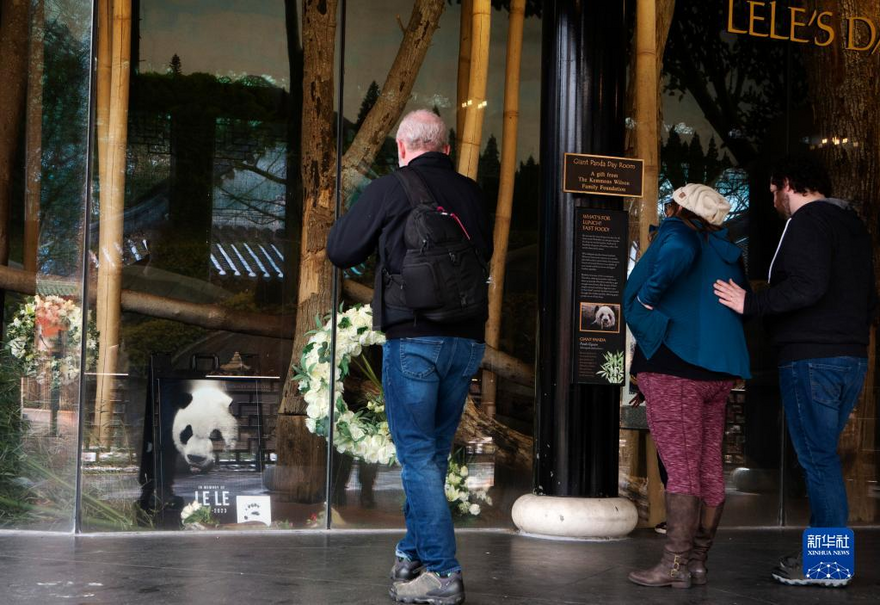 旅美大熊貓“樂樂”去世 Giant Panda “Le Le” Dies at Memphis Zoo   2月4日，美國田納西州孟菲斯動物園擺放的紀念大熊貓“樂樂”的照片和鮮花。 攝影 亞當 Photos of Le Le and flowers are displayed at the Memphis Zoo in Memphis, Tennessee, the United States on February 4. [Photo by Adam]  2月4日，在美國田納西州孟菲斯動物園，市民在大熊貓“樂樂”的照片前悼念。 攝影 亞當 People mourn in front of a picture of giant panda Le Le at the Memphis Zoo in Memphis, Tennessee, the United States on February 4. [Photo by Adam]   2月4日，在美國田納西州孟菲斯動物園，市民在大熊貓“樂樂”的照片前悼念。攝影 亞當 People mourn in front of a picture of giant panda Le Le at the Memphis Zoo in Memphis, Tennessee, the United States on February 4. [Photo by Adam]    2月4日，在美國田納西州孟菲斯動物園，市民在大熊貓“樂樂”的照片前悼念。攝影 亞當 People mourn in front of a picture of giant panda Le Le at the Memphis Zoo in Memphis, Tennessee, the United States on February 4. [Photo by Adam]  美國田納西州孟菲斯動物園2月3日宣佈，旅美雄性大熊貓“樂樂”去世。 Le Le, a male giant panda who lived in the United States, had died, the Memphis Zoo in Tennessee announced on February 3._fororder_圖片13