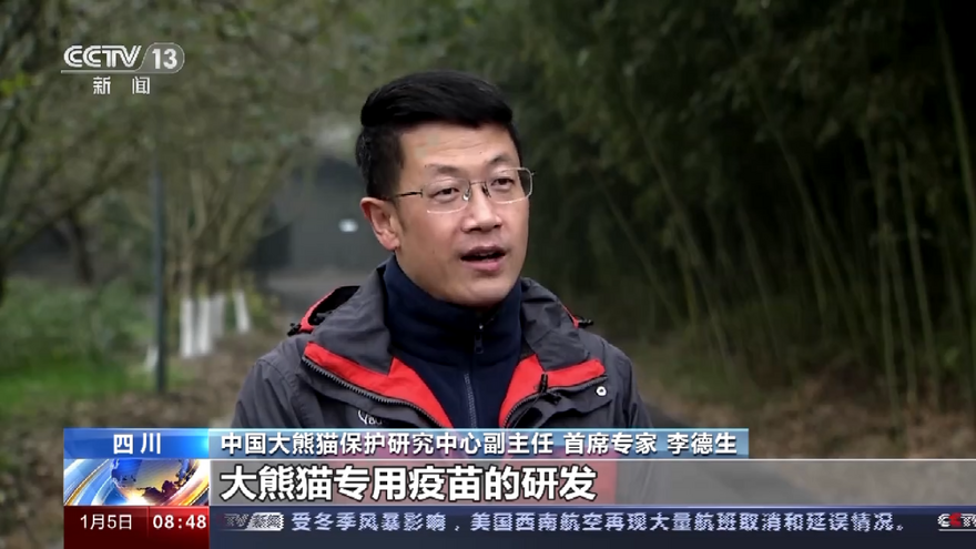 中國大熊貓保護研究中心：為大熊貓國家公園建設提供科技支撐  China Conservation and Research Center for Giant Panda: Providing Scientific and Technological Support for Construction of Giant Panda National Park_fororder_圖片22