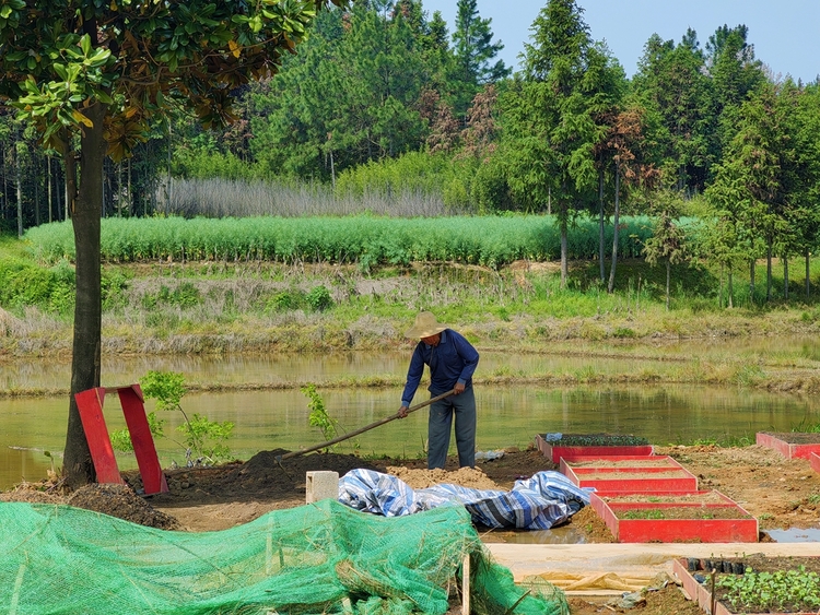 池州市貴池區：把握“産業之鑰” 打開鄉村振興新大門_fororder_微信圖片_20230511154746