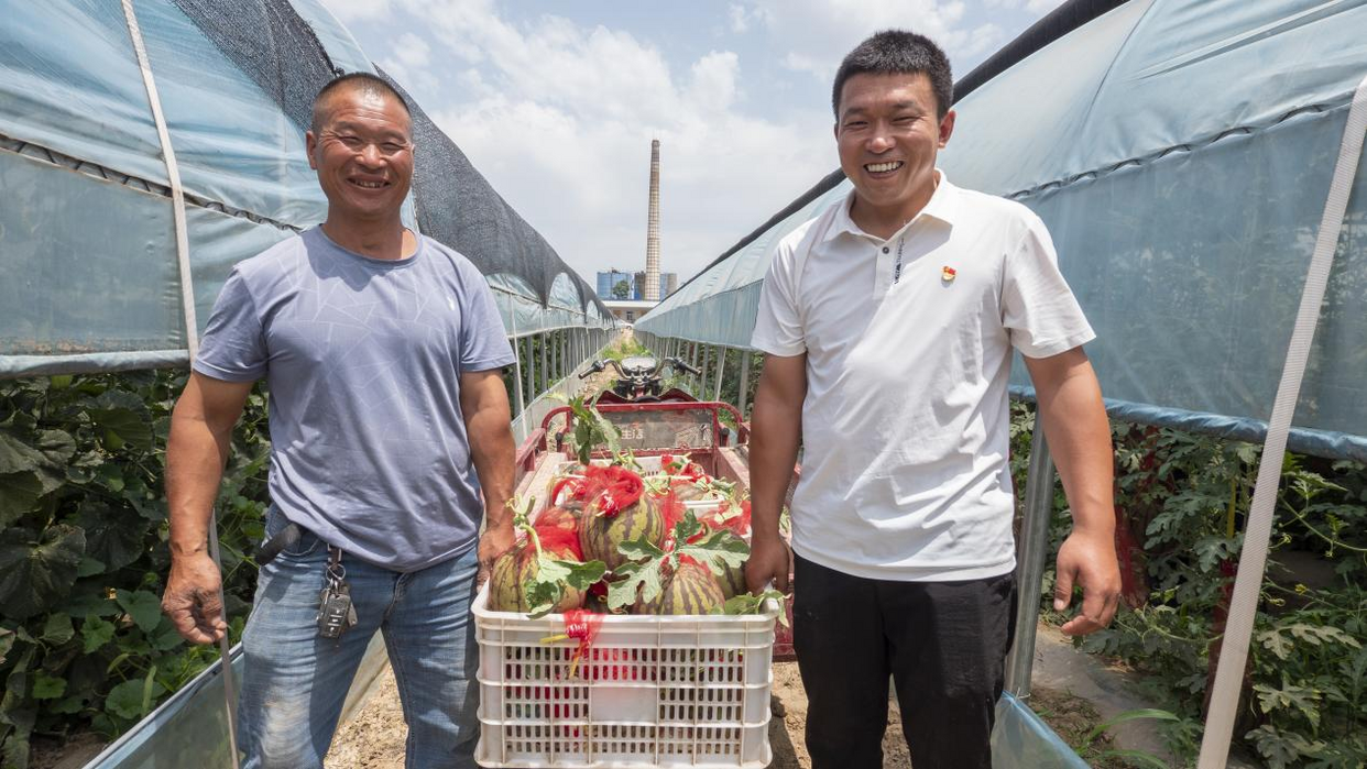 Récolte abondante des fruits à Weinan, dans la province du Shaanxi_fororder_圖片2