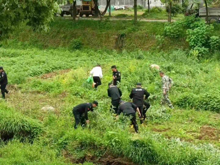 下好“四步棋” 武義全力護航亞運水環境_fororder_1685441186080_6475caa2d0ff8e0001f44db0