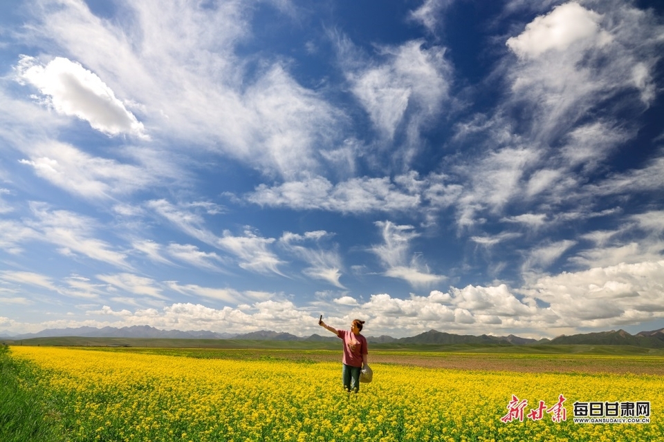 張掖：高溫來襲 在山丹馬場盡享22℃的夏天_fororder_1