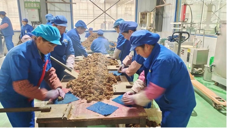 【原創】優化延長産業鏈條  推動縣域經濟集群發展 ——岷縣工業産業鏈建設勢頭強勁_fororder_1