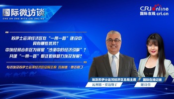 【國際微訪談】埃及蘇伊士運河經濟區總局主席：共建“一帶一路”倡議有助於實現埃及的經濟繁榮