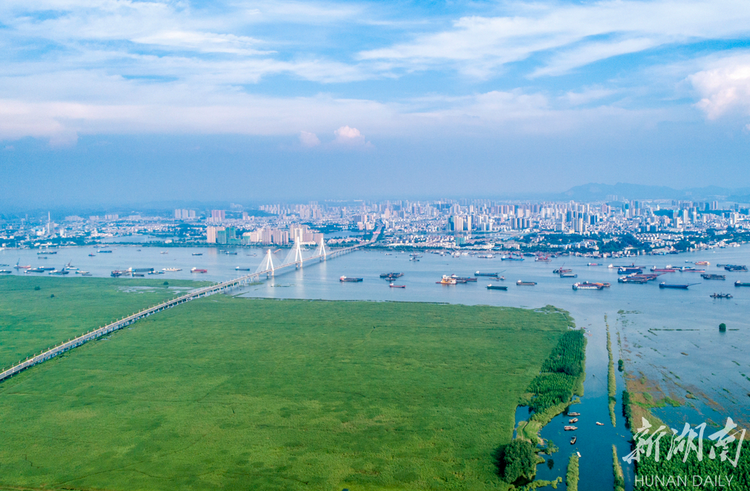 國際濕地城市！岳陽瞄準新金字招牌