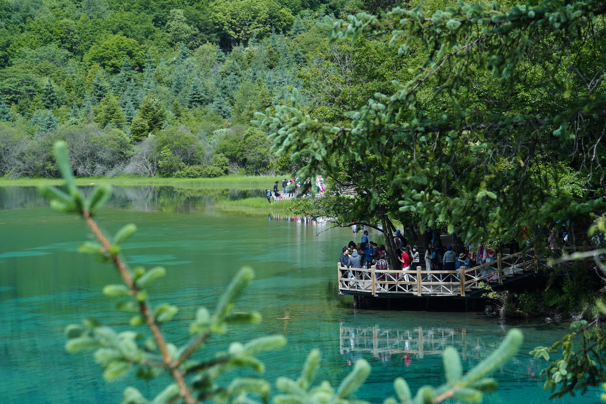 Amazing Scenery of Jiuzhaigou in Sichuan Province_fororder_e3917e60594f06b72a76e762c7a9770