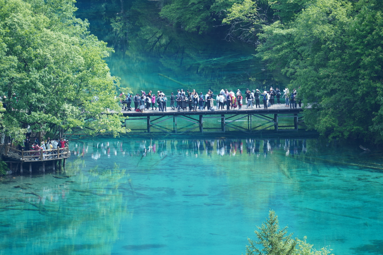 Amazing Scenery of Jiuzhaigou in Sichuan Province_fororder_b00a06943b866cc5ccd8ba8a0645e25