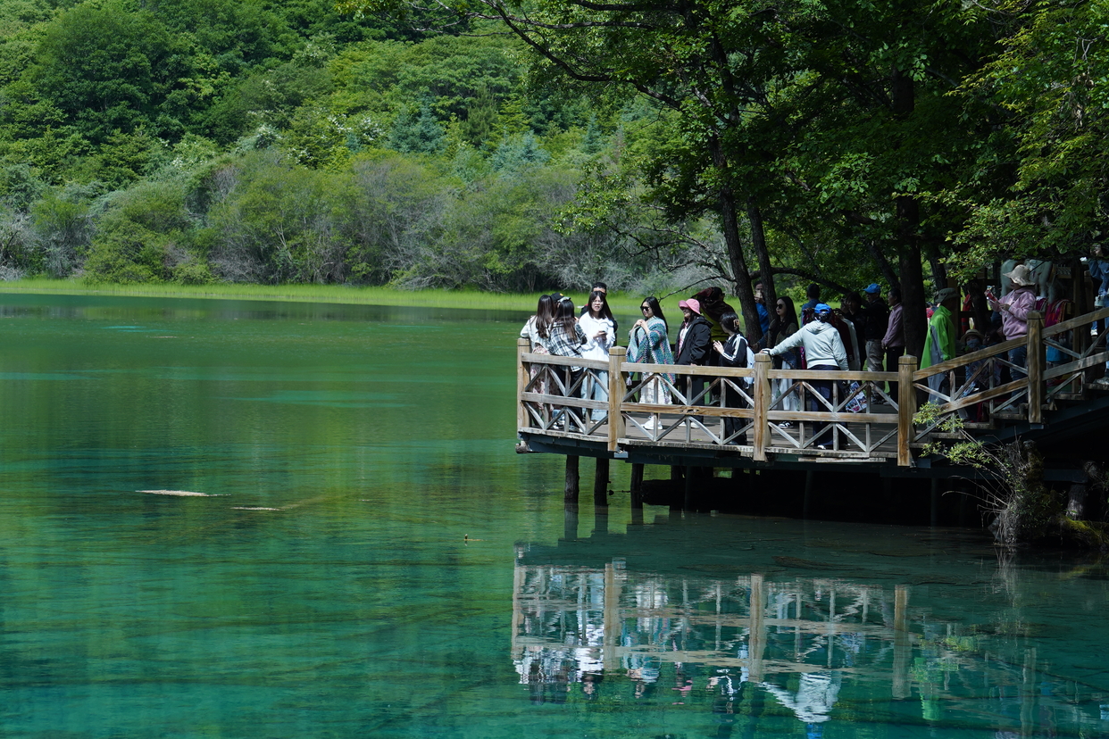 Amazing Scenery of Jiuzhaigou in Sichuan Province_fororder_c6251cdcb8671771b29097c369fdfdd