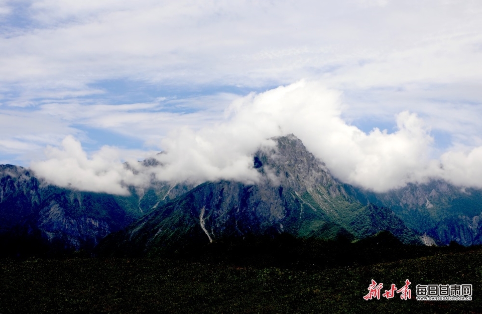 隴南文縣雄黃山：草甸如茵山峰險 牛羊散落似珍珠_fororder_1