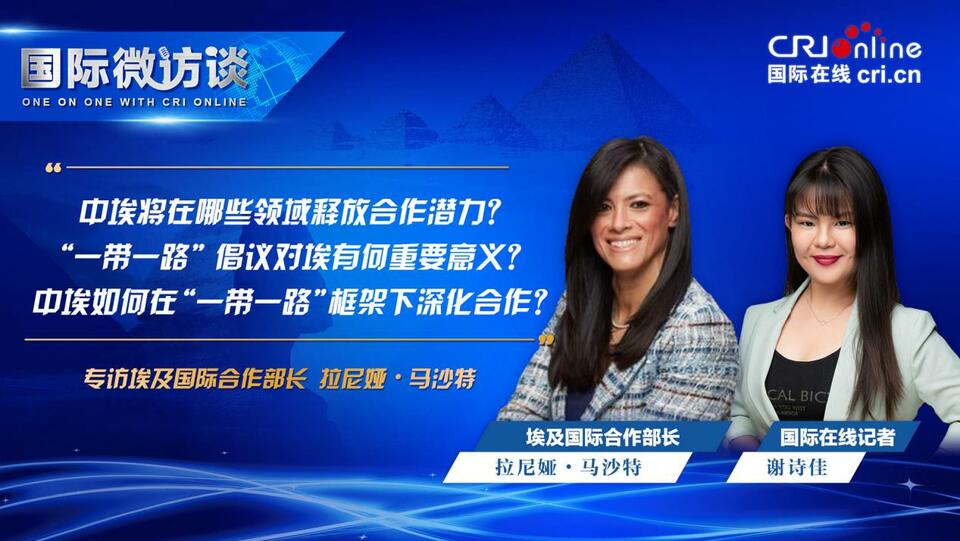 【國際微訪談】埃及國際合作部長：“一帶一路”倡議非常有活力 為埃發展作出切實貢獻_fororder_去