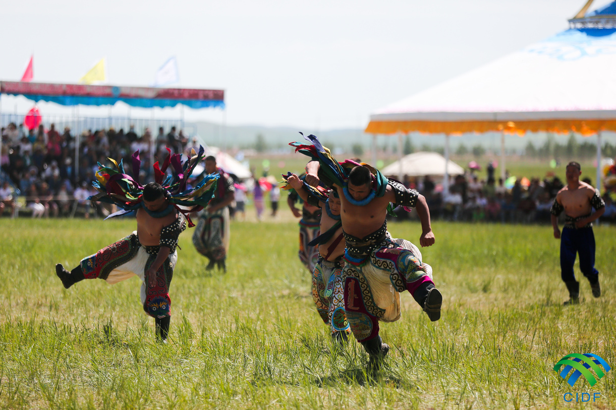 Wrestling Competition (Bökh) Held in Xilingol, Inner Mongolia_fororder_331A9991_副本