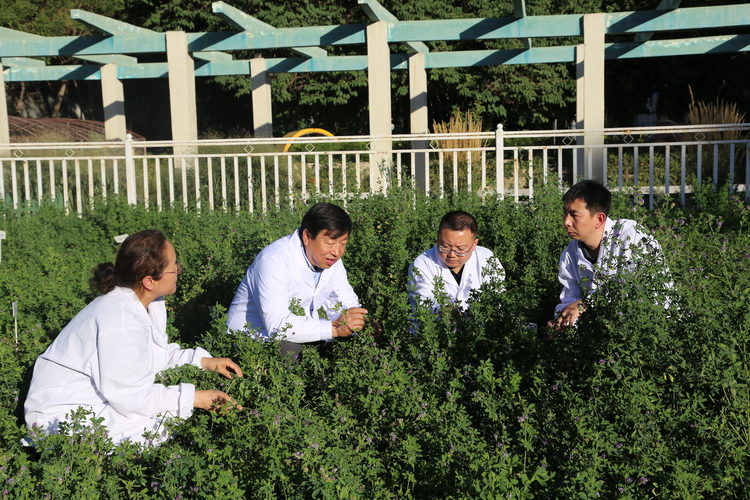 甘肅農業大學草種創新與草地利用教師團隊入選第三批“全國高校黃大年式教師團隊”創建示範活動入圍名單_fororder_圖片2