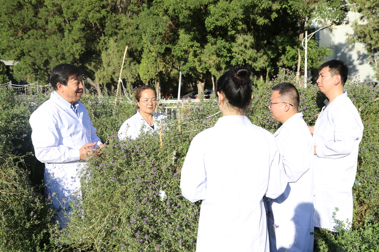 【原創】甘肅農業大學草種創新與草地利用教師團隊入選第三批“全國高校黃大年式教師團隊”_fororder_IMG_6616.JPG