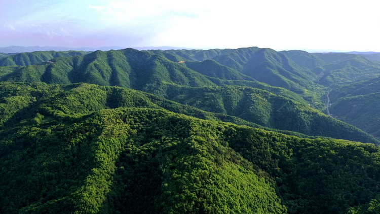 【原創】天水清水：生態康養 文旅融合_fororder_圖片5