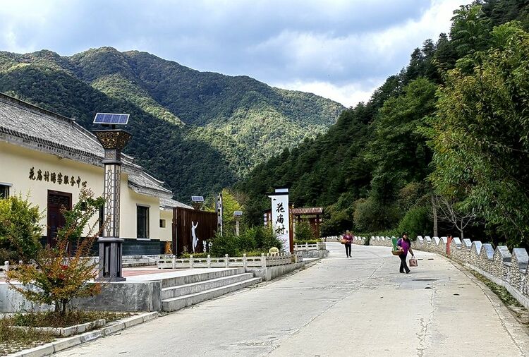 天水麥積黨川鎮：壯大村集體經濟 賦能鄉村振興_fororder_微信圖片_20231017093633