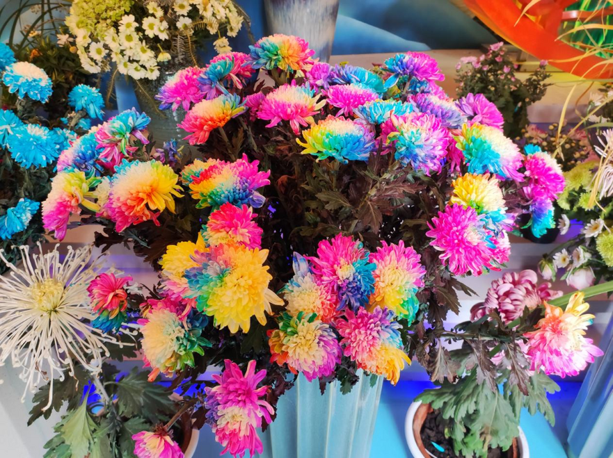 Millions of High-quality Chrysanthemums Stunningly Appear at Millennium City Park in Kaifeng, China_fororder_14