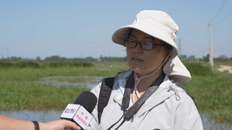 海南：時隔20多年後再次記錄到國家一級保護動物黑鸛_fororder_微信圖片_20231123104845