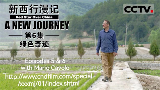 Homelike Shenyang ③ | American Writer Mario Cavolo: I Am an Authentic Son-in-Law of Shenyang_fororder_圖片6