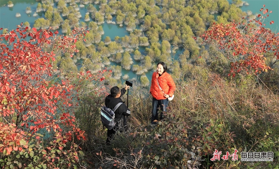 群峰映碧水 紅葉炫姿彩 文縣碧口初冬風光旖旎_fororder_1