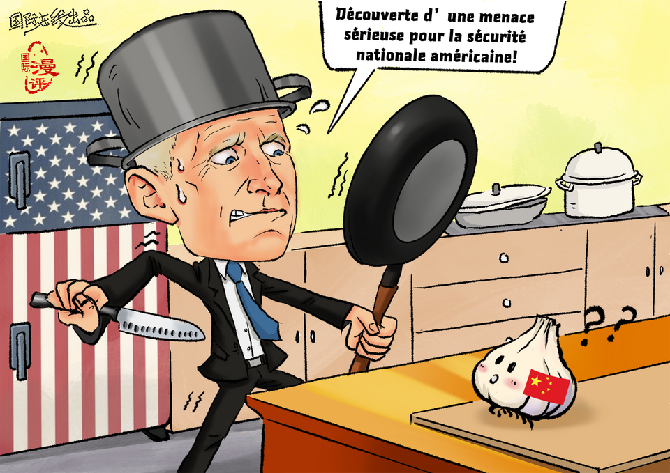 【Actualité en caricatures】Ail chinois : Êtes-vous sérieux?_fororder_大蒜weixie（法）