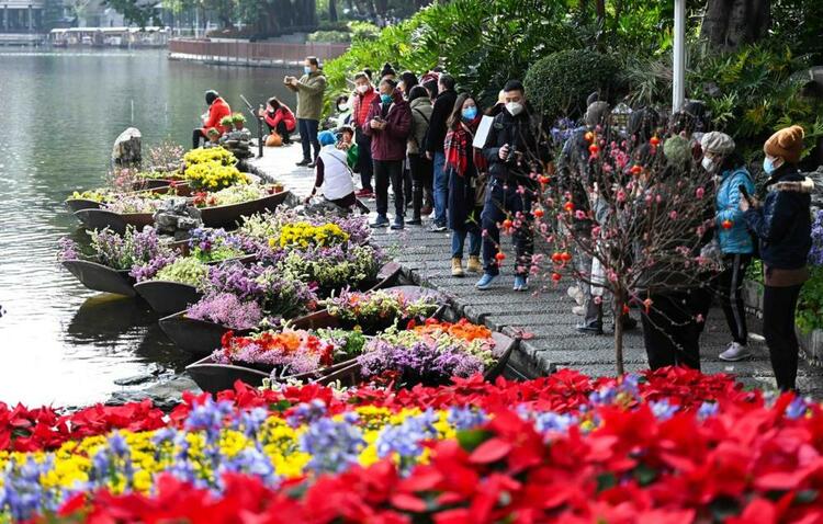 花開嶺南待客來——“請到廣東過大年”側記