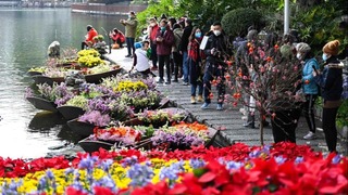 花開嶺南待客來——“請到廣東過大年”側記