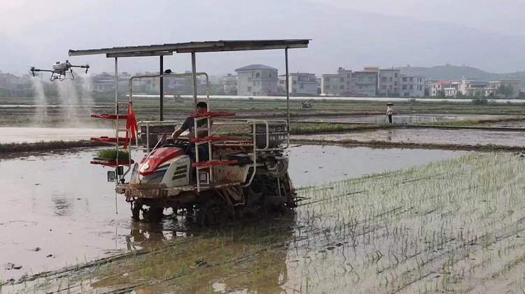 湖南新寧：科技興農賦能春耕生産“新引擎”_fororder_圖片2