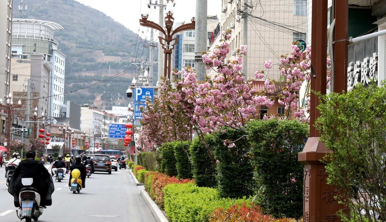 【原創】天水甘谷：打造城市綠化景觀 提升城市綠化品質