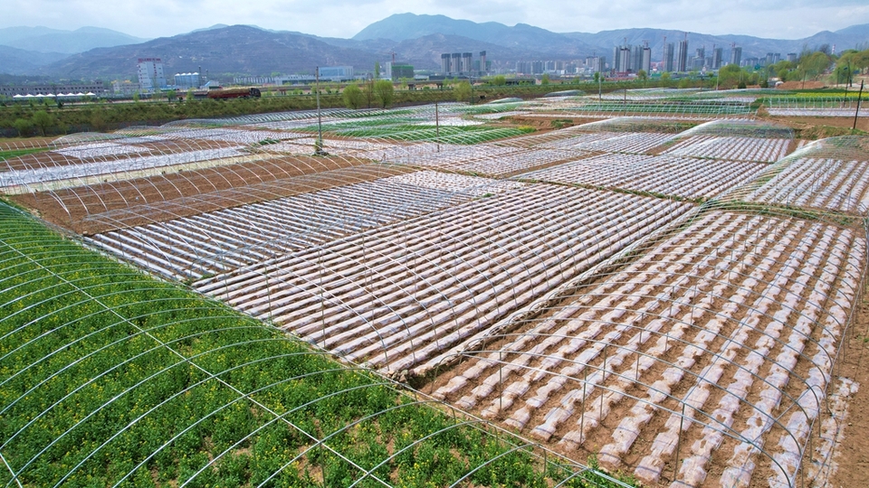 【原創】不負春光！武山縣2024年春耕生産亮點工作展示_fororder_1