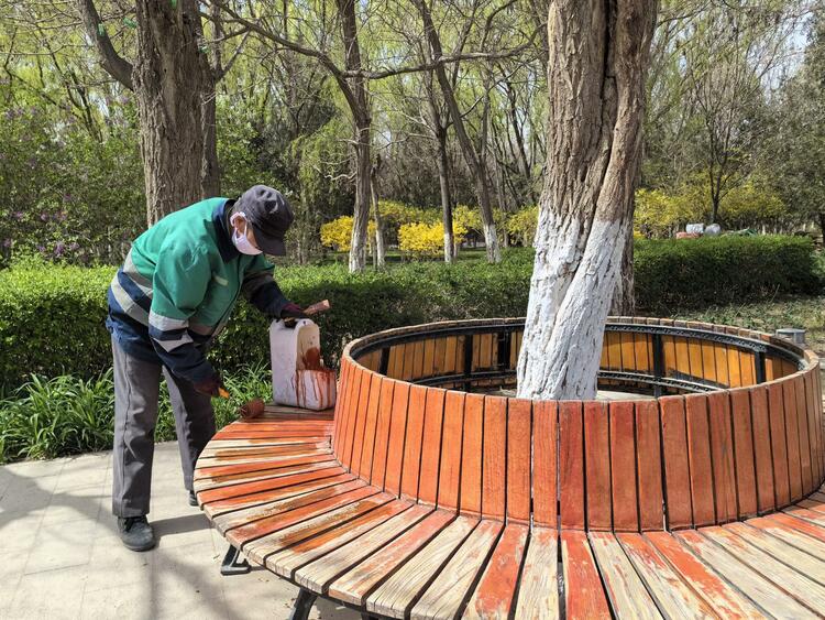 金川區“紫金花城”景區管理處：維護美化休閒座椅 市民遊園更舒心_fororder_2