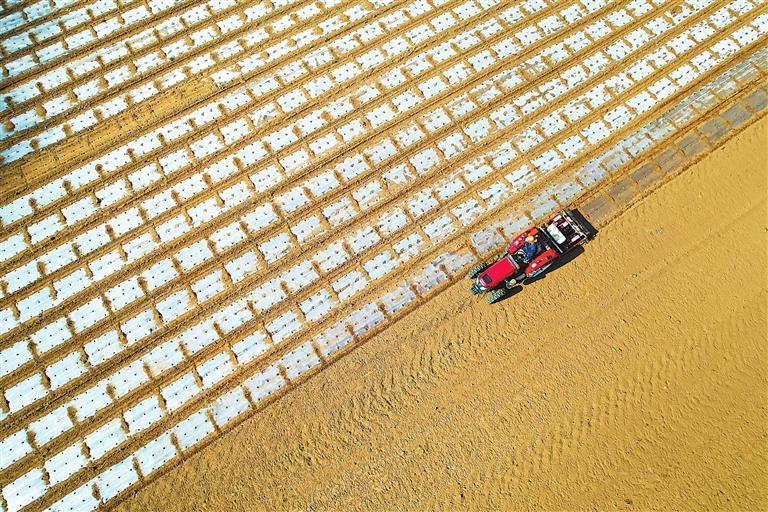 【生態】播撒綠色希望 共建美麗甘肅 2024甘肅植樹公益行植綠皋蘭_fororder_33