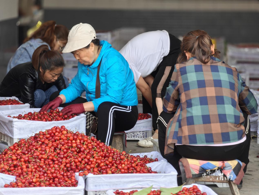 A Sweet Date with China: Deliciously Rich and Incredibly Sweet! A Sweet Delight from Chengcheng, Shaanxi!_fororder_圖片2