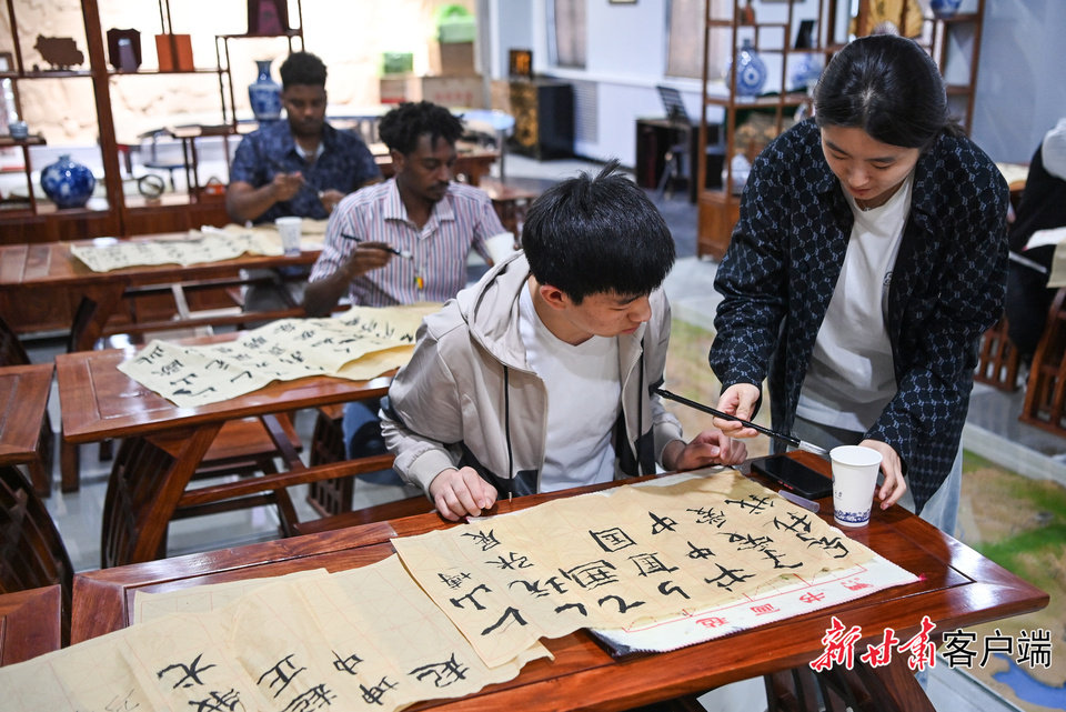 【大美甘肅】來甘南州尕海濕地 看候鳥們“孵寶寶”啦_fororder_7