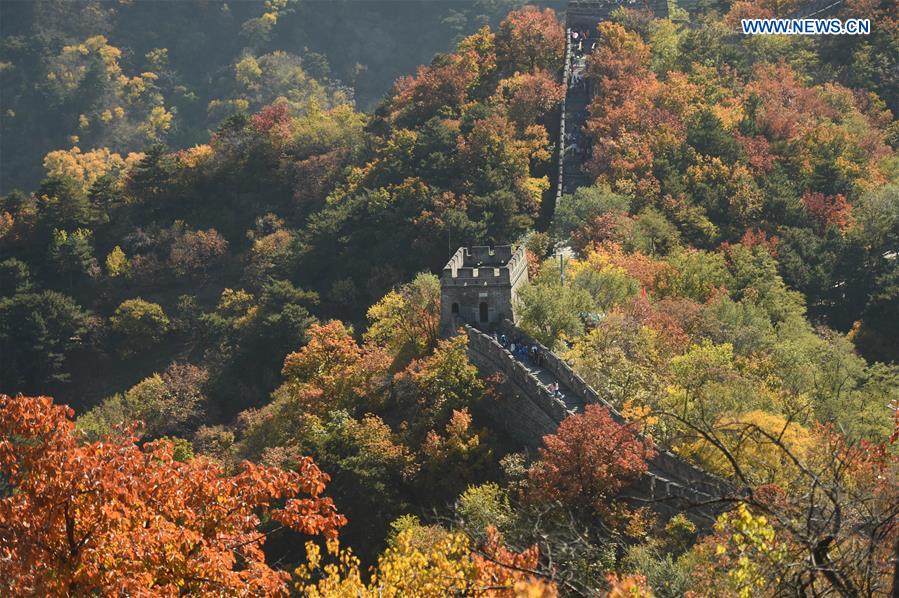 Autumn scenery at the Mutianyu Great Wall in Beijing