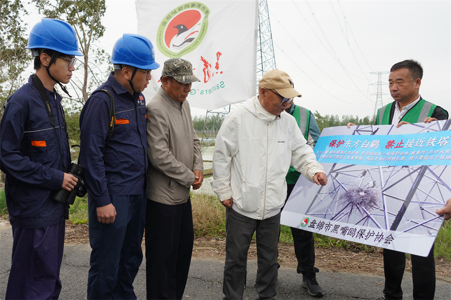 Liaoning Panjin: 'Ecological Operation and Inspection' of Power Grid Protects Rare Birds_fororder_圖片6