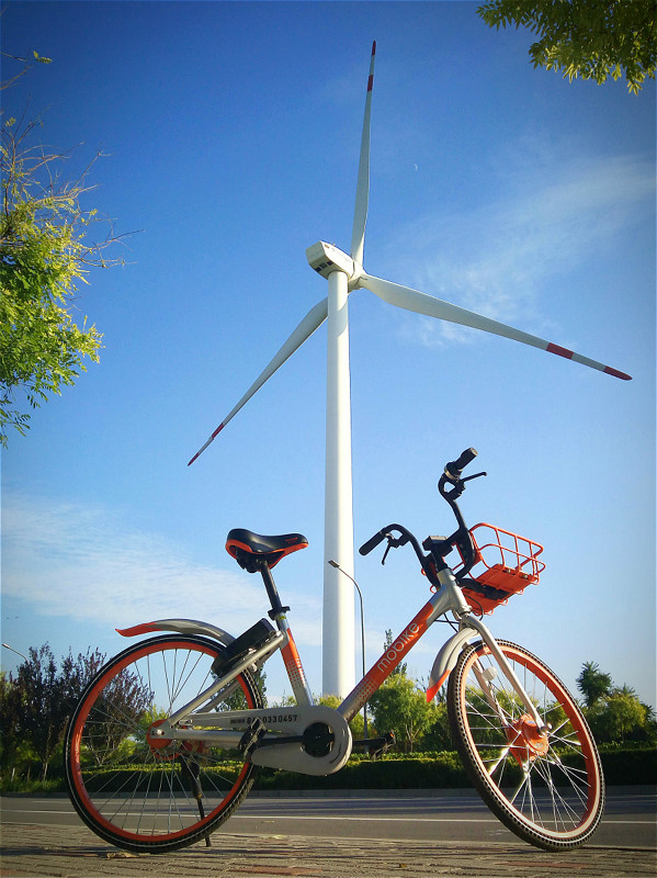 [Beijing in International Friends' Eyes] Shared bicycles on the road