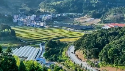 偉大的歷史變革丨繪就生態新畫卷