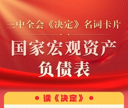 三中全會《決定》名詞卡片天天學：國家宏觀資産負債表