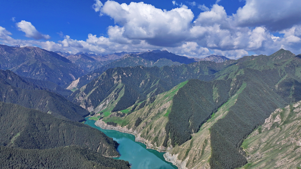 【原創】甘肅民樂：夏日祁連山國家公園景色壯美_fororder_DJI_20240717093809_0423_D.JPG