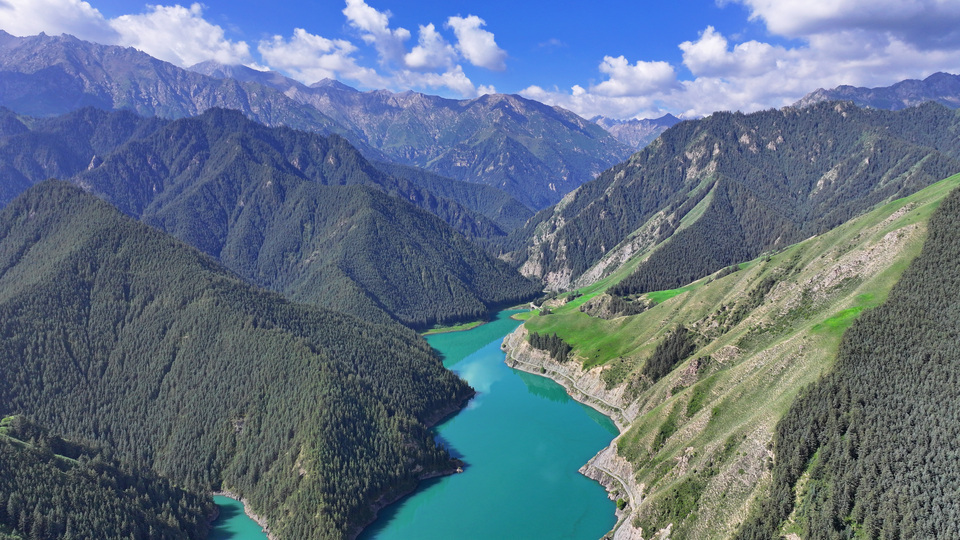 【原創】甘肅民樂：夏日祁連山國家公園景色壯美_fororder_DJI_20240717094509_0447_D.JPG