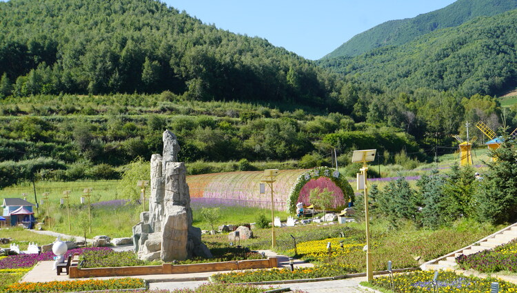 【原創】我們的家園 幸福美好新甘肅 | 甘肅甘南臨潭縣廟花山村：昔日“醜小鴨” 變身“白天鵝”_fororder_cd02d41d63ba62d21fb22f7559f9042