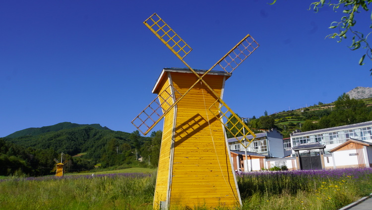 【原創】我們的家園 幸福美好新甘肅 | 甘肅甘南臨潭縣廟花山村：昔日“醜小鴨” 變身“白天鵝”_fororder_2e440a97109968ffe28b6c59efb1941